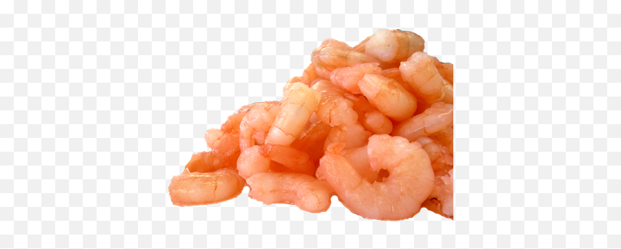 Shrimp Png Images Hd - Shrimps Png,Shrimp Png