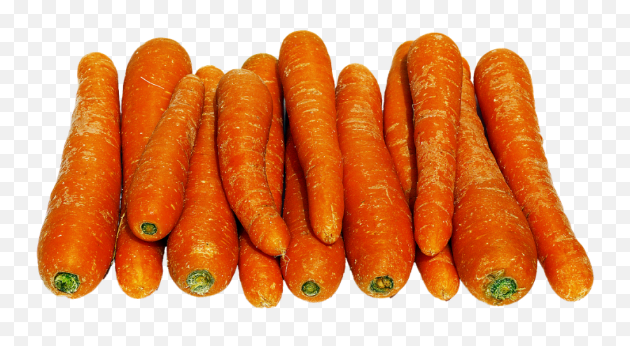Download Carrots Lying Carrot Yellow Beet Mario - Wortel Wortel Png,Carrots Png