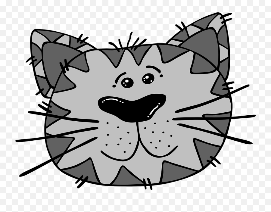 Cat Face Gray - Scat The Cat Story Png,Whiskers Png
