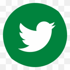 Carolina Has Worked As A Human Resources Leader In - Twitter Transparent Black Twitter Icon Png,Twitter Logo Vector