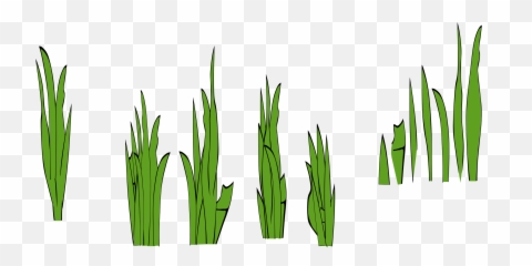 Rice Field Paddy - Grass Clip Art Png,Grass Field Png