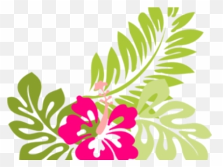 Hibiscus Clipart Luau - Hawaiian Flower Clipart Png Hibiscus Clip Art,Luau Png