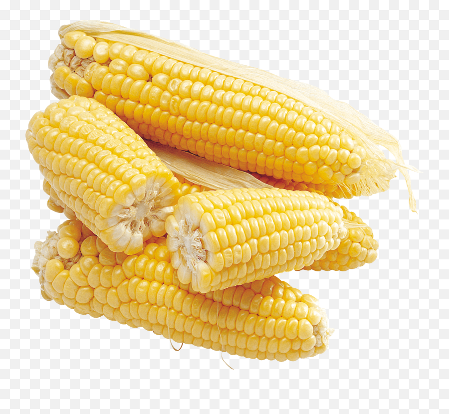 Corn Transparent Image Png Cob
