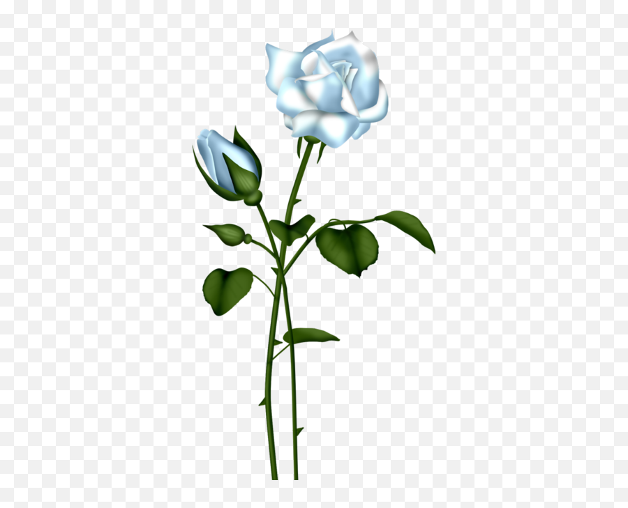 Floral Gold Round Border Transparent - Dark Blue Roses Png,Flowers Clipart Transparent