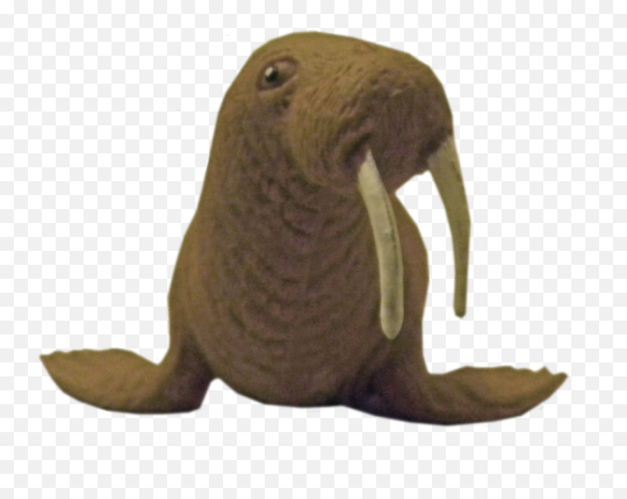 Walrus Png Transparent - Portable Network Graphics,Walrus Png