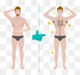 Body Hair Transplant Turkey - Body Best Razor For Men Png,Chest Hair Png