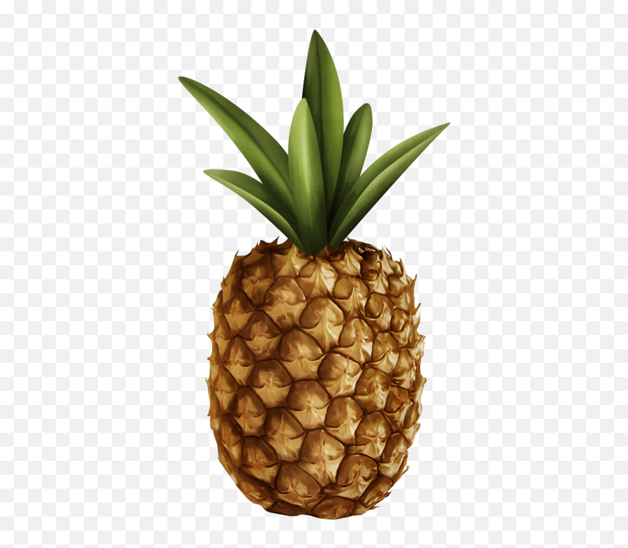 Pineapple Png And Vectors For Free Download - Dlpngcom Pineapple,Pineapple Clipart Transparent Background