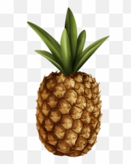 Pineapple Png And Vectors For Free Download - DLPNGcom Pineapple