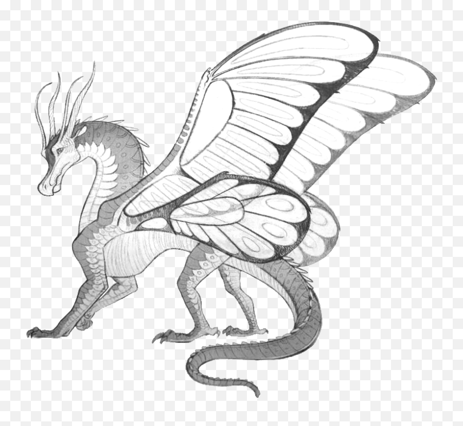 Rhea Wings Of Fire Fanon Wiki Fandom - Wings Of Fire Dragons Drawings Png,Fire Wings Png