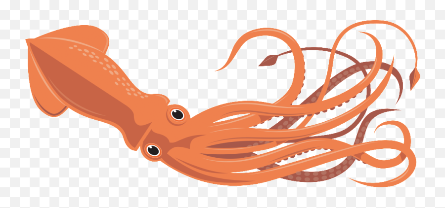 Vbs Fletcher First Baptist Church - Giant Squid Clip Art Squid Clipart Png,Squid Png