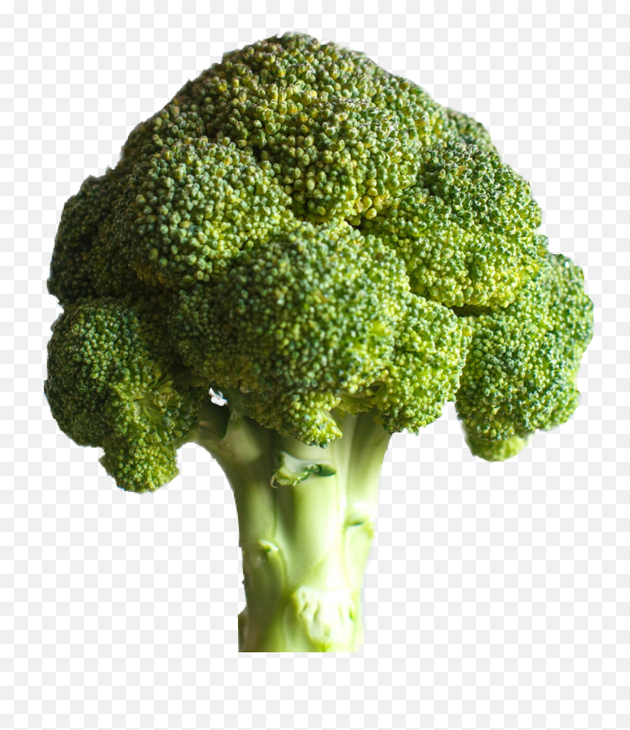 Broccoli Sticker By Tuyet Mai Nguyen - Deku Brocoli Png,Broccoli Transparent Background