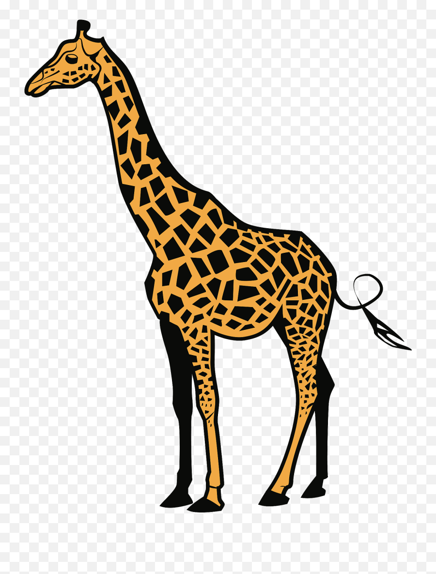 Giraffe Clipart - Clipart Pictures Of Giraffe Png,Giraffe Transparent