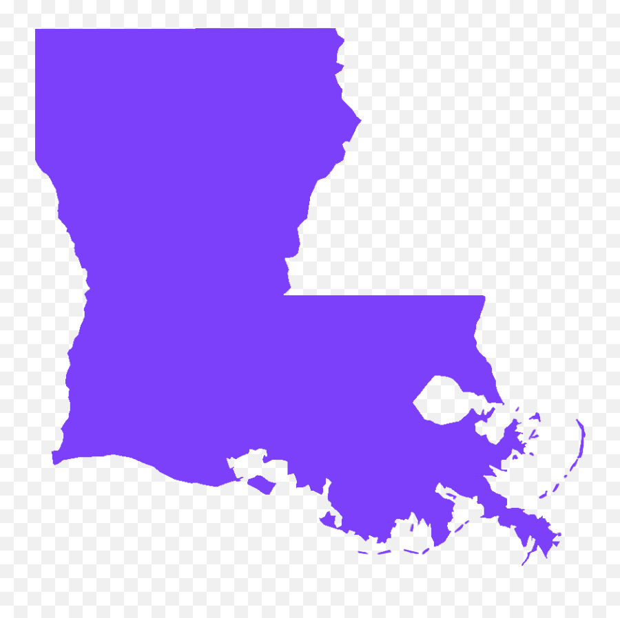 The South Got Something To Say A Celebration Of Southern - Louisiana Election Map 2020 Png,Avenge The Fallen Png