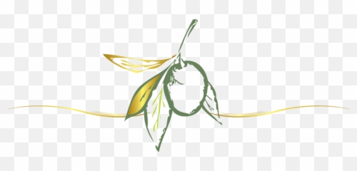 Online Olive Logo Design - Free Food Maker png