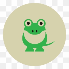 Lizard Icon - Pond Frogs png