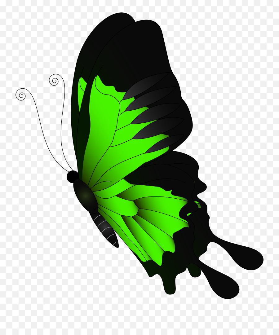 Leaf Clipart Butterfly - Red Butterfly Png Transparent,Butterfly Transparent