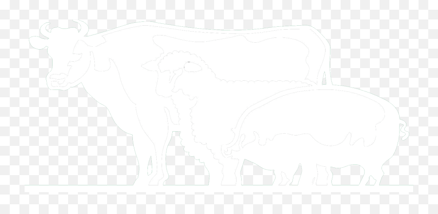 Orara Valley Shires - Cow Png,Livestock Icon