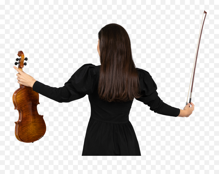 Free Stock Photos U2013 Beautiful Pictures Of People U0026 Fun - Baroque Violin Png,Fiddle Icon