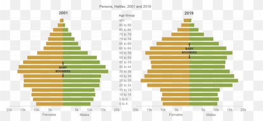 Halifax Partnership Index 2020 - People Bad Is Meat For The Environment png