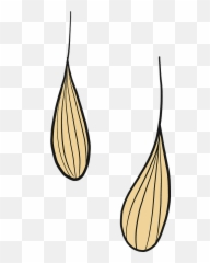 Wheat Grains Clipart Free Download Transparent Png Creazilla - Vertical