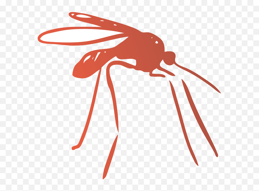 Safer Homes And Lawns St Petersburg Fl Pest Control - Parasitism Png,Mozzie Icon