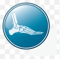 Products U2014 Crossroads Orthopedics - The Point Crab House Grill png