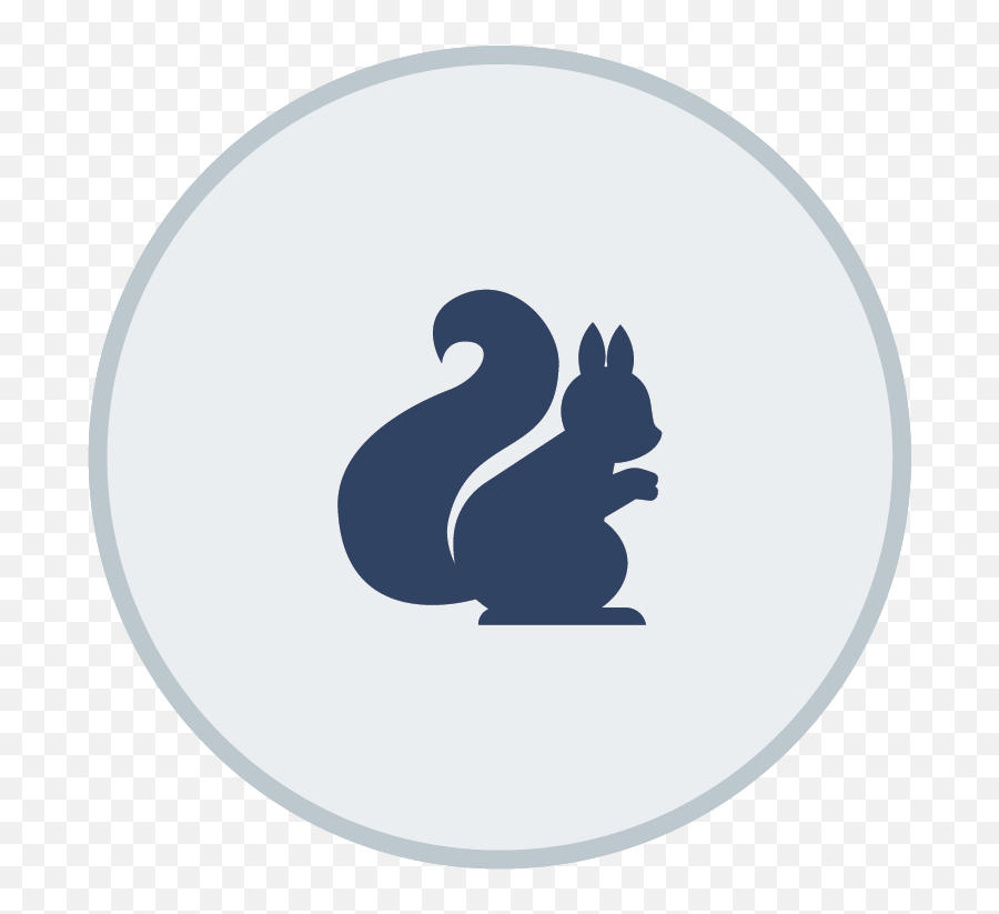 Learning Center - Eastern Gray Squirrel Png,Squirrel Icon