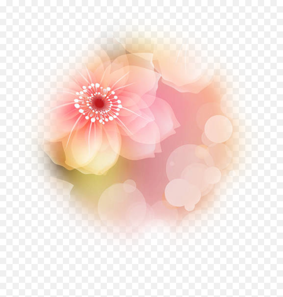 Download Point Of Light Png - Dahlia,Point Of Light Png