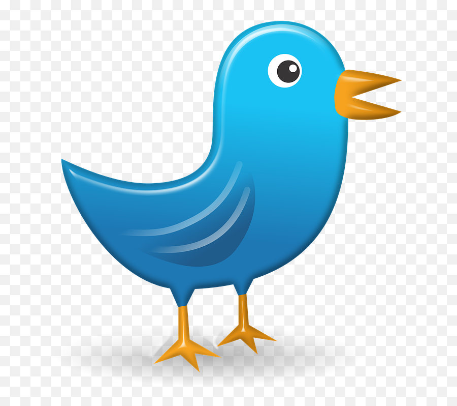 Free Photo Icon Bird Network Tweet Speech Twitter Web - Max Png,Network Icon With Green Arrow