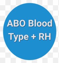 Abo Blood Type Test And Rh U2013 Labreqscom Png
