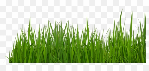 Free Transparent Grass Transparent Background Images Page 1 Pngaaa Com - grass roblox background