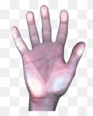 Images Challenge - Sign png