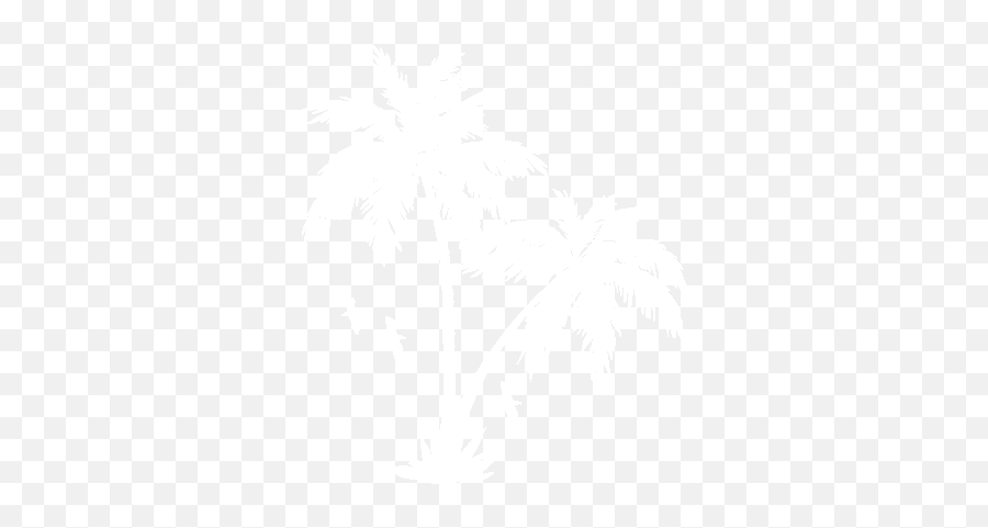 Download Collection Of Free Transparent White Palm Tree - Palm Tree White Png,Palm Png