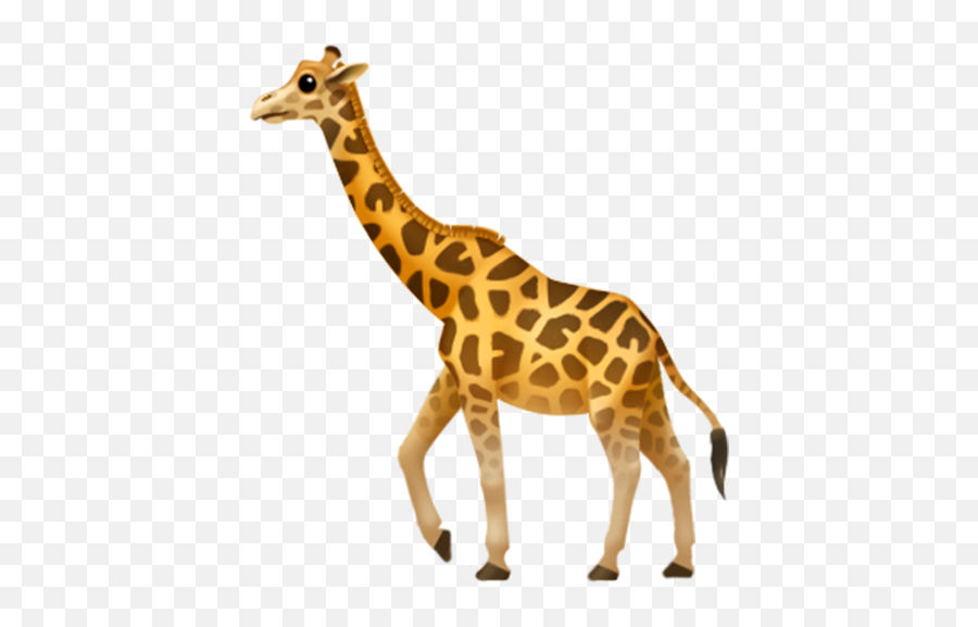 Baby Giraffe Png Transparent Image - Giraffe Emoji Apple,Giraffe Transparent Background