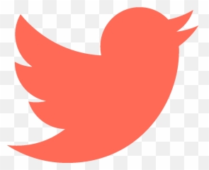 Download Hd In One Year Spending An Extra 0 - Twitter Logo Transparent Png Red Twitter Logo,Twitter Logo Vector