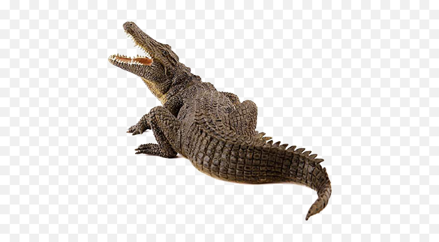 Crocodile Png Image - Papo Crocodile,Crocodile Png