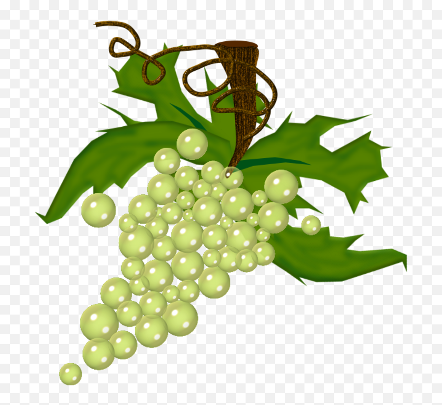 Dessin Grappe De Raisin Png 1 Image - Grappe De Raisin Blanc Dessin,Raisin Png