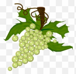 Dessin Grappe De Raisin Png 1 Image - Grappe De Raisin Blanc Dessin,Raisin Png