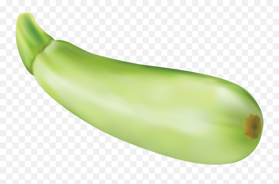 Hd Zucchini Png Transparent Image - Courgette Clipart,Zucchini Png