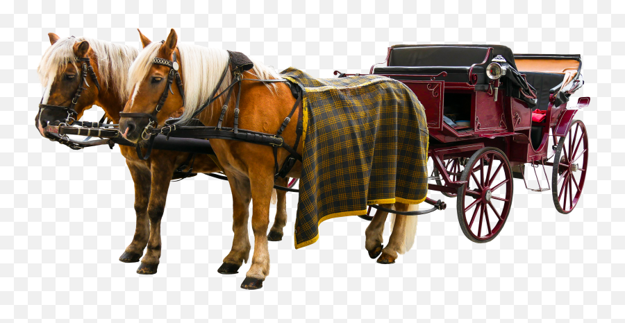 Carriage Png - Horse And Buggy Png,Tack Png