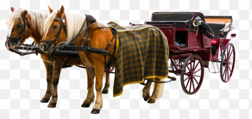 Carriage Png - Horse And Buggy Png,Tack Png