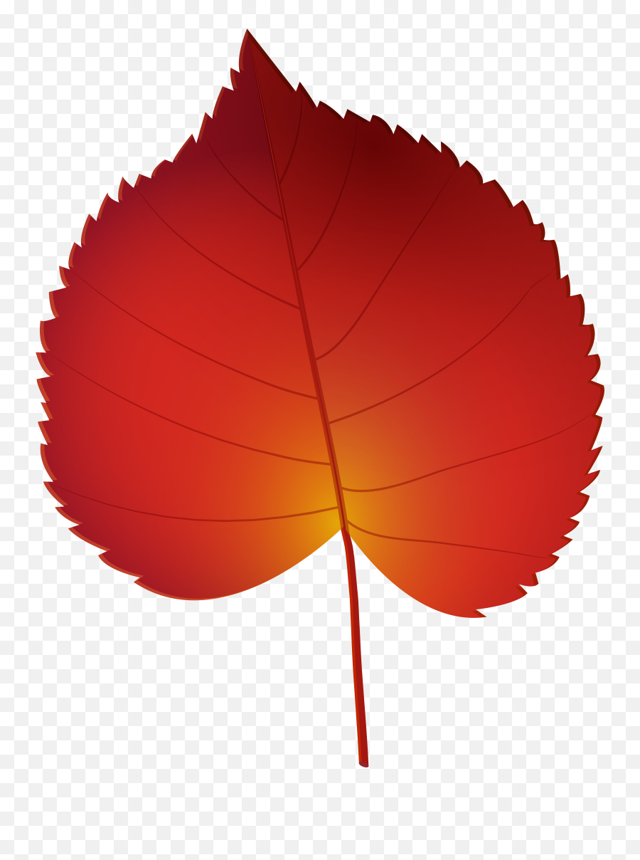 Library Of Red Fall Leaf Clipart Download Png Files Thanksgiving Leaves