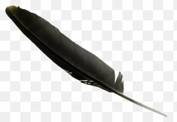 Download Black Feather Clip Art - Black Feather Transparent Background Png,Black Feather Png