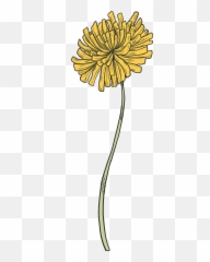 Dandelion Clipart Free Download Transparent Png Creazilla - Clip Art
