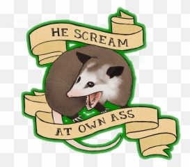 Possum - He Scream At Own Ass Png,Possum Transparent