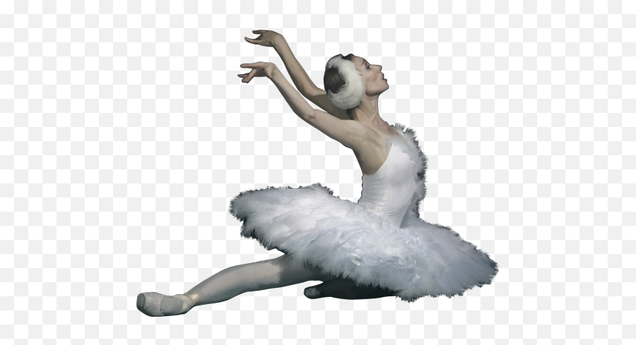 Download Hd Iperm Opera Ballet - Swan Lake Ballerina Png,Ballerina Png