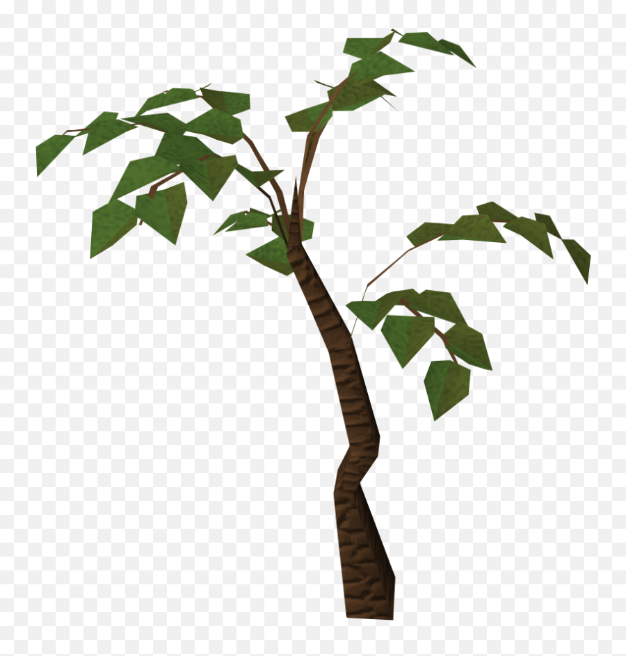 Jungle Tree Png Images Collection For