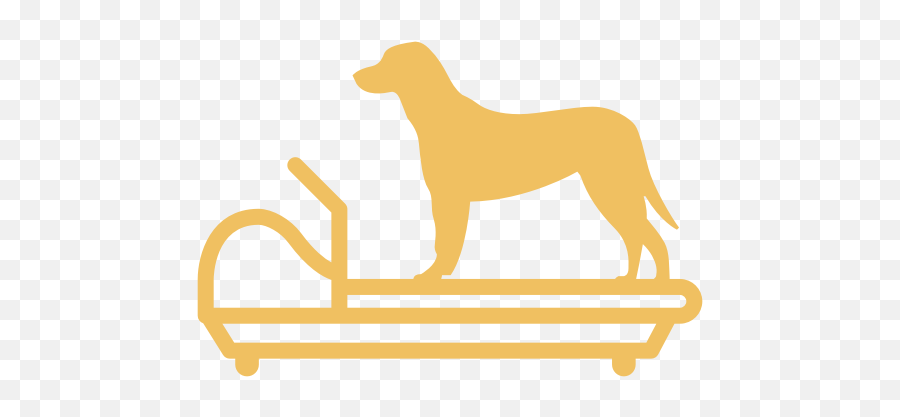 Dog Treadmill Exercise Pet Running Machine - Dog Treadmill Icon Png,Dog Running Png