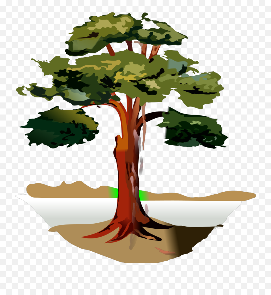 Grey Tree Svg Clip Arts Download - Download Clip Art Png Cartoon Eucalyptus Trees,Large Tree Png