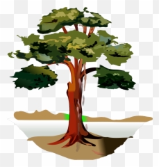 Grey Tree Svg Clip Arts Download - Download Art PNG Cartoon Eucalyptus Trees